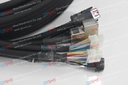 XY Bear Cables ASM