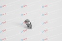 PIN