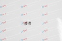Filter holder