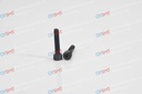BOLT Hexagon socket head cap screw M5X25-10.9 A2J (Trivalent)