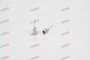 Dispenser Needle (12pcs/box)