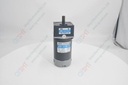 DC Motor with gear head
