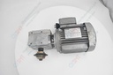 Motor +Gear