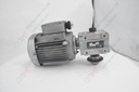 Motor +Gear