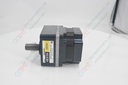 Servo Motor