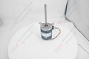 Blower Motor