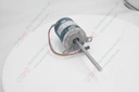 Blower Motor