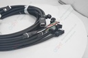 Y BEAR B CABLES ASM XL