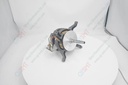 Blower Motor