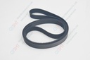 Belt (H axit)